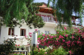Гостиница Bache Apartments  Охрид